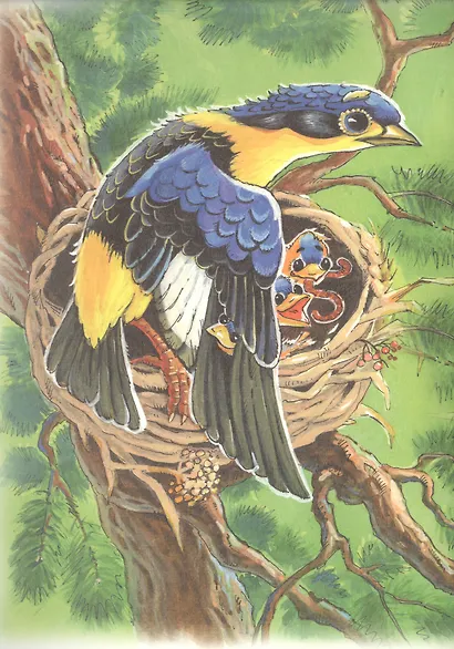 Лиса и дрозд - фото 2