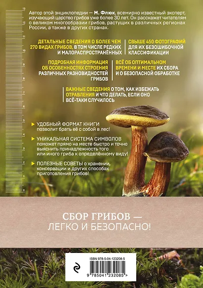 Грибы - фото 2