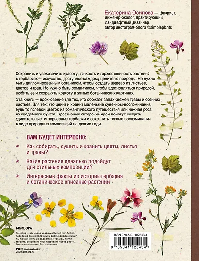 Гербарий для души: сохрани самые теплые воспоминания - фото 2