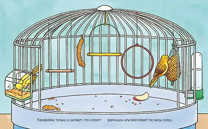 Домашние питомцы - фото 6