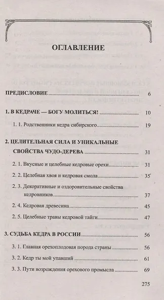 Кедр - царь сибирской тайги - фото 2
