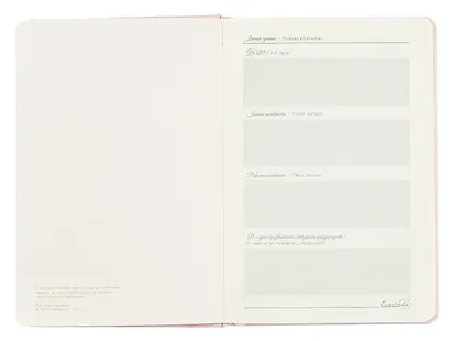 Ежедневник недат. А5 164л "Лайка" розовый,кожзам, тв.переплет, обл.поролон,стеганная строчка, офсет, ляссе, подар.карт.коробка - фото 3