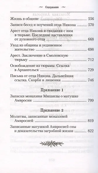 История одной старушки - фото 7