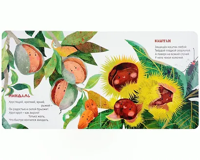 Орехи - фото 4