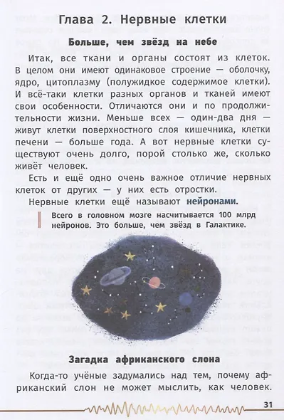 Не просто серое вещество! Изучи свой мозг и включи его! - фото 3