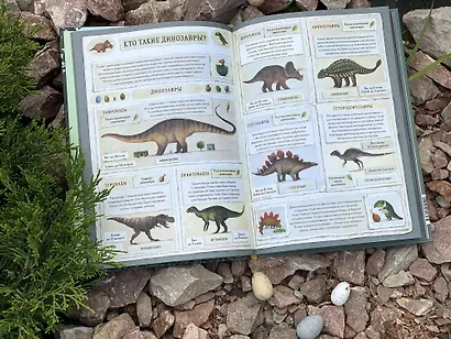 Динозавры. Моя первая книга - фото 11