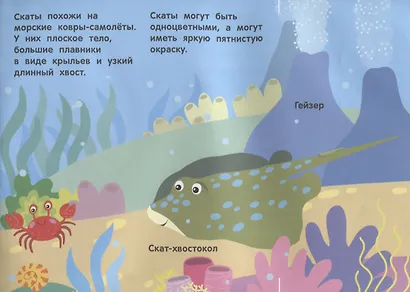 Кто под водой живет? - фото 4