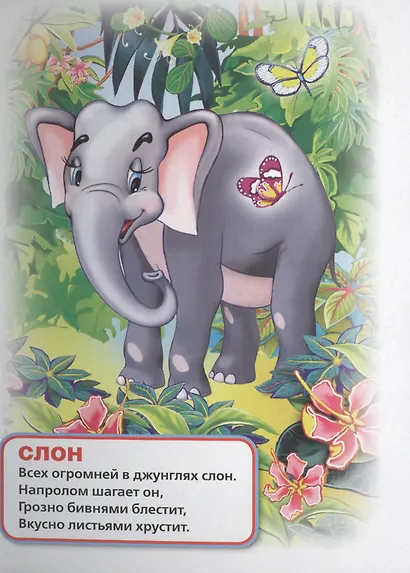 Веселый зоопарк. - фото 2