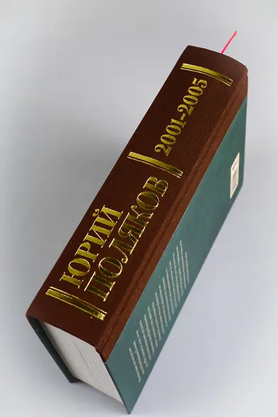 Собрание сочинений. Том 5. 2001-2005 - фото 11