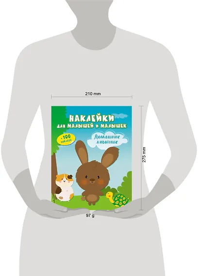 Домашние животные(с накл.) - фото 4