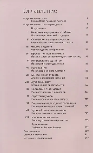Тибетская йога. Теория и практика тантрического буддизма - фото 2