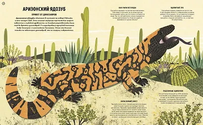 Ядовитые животные. Кто, зачем и как использует яды в дикой природе - фото 7