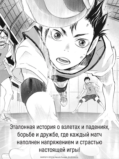 Волейбол! Том 2 - Вперед, команда "Карасуно"! Соперники (Haikyuu!). Манга - фото 6