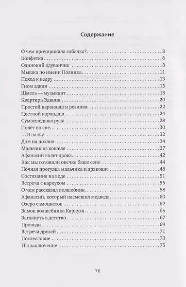 Найти Волшебника - фото 3