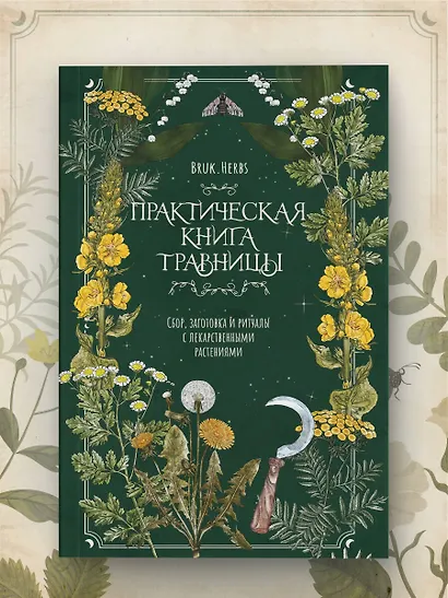 Практическая книга травницы. Сбор, заготовка и ритуалы с лекарственными растениями (Bruk.Herbs) - фото 8