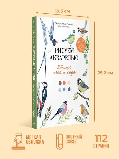 Рисуем акварелью: птицы леса и сада - фото 7