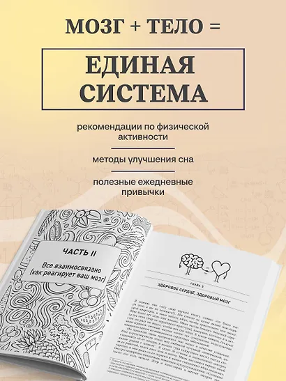 Еда для гениев. Как увеличить свой IQ во время завтрака, повысить производительность мозга во время обеда и активизировать память за ужином (новое оформление) - фото 7