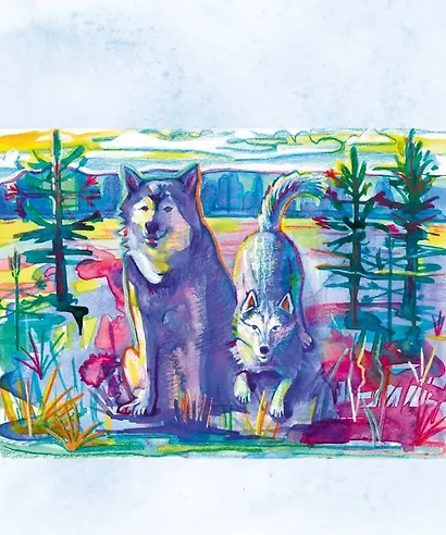 Сказки от хаски - фото 2