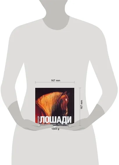 Лошади: Самые лучшие фотографии. Альбом - фото 2