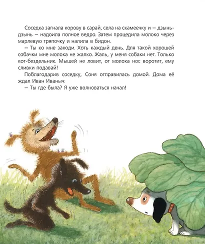 Собачка Соня на даче - фото 5