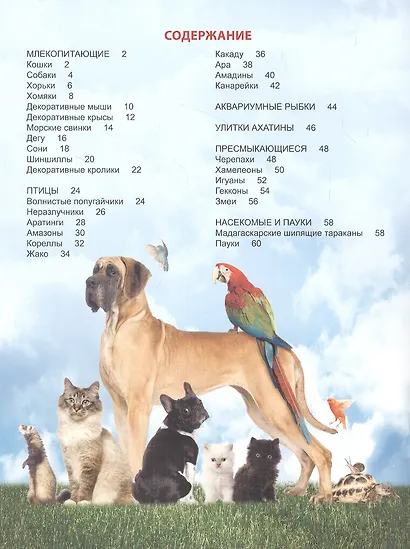 ЭНЦИКЛОПЕДИЯ ДЛЯ ДЕТЕЙ новые. НАШИ ЛЮБИМЫЕ ПИТОМЦЫ - фото 5