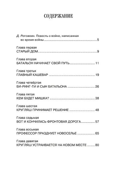Батальон Бориса Ивановича - фото 4