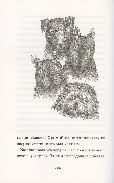Эсперанса - фото 4