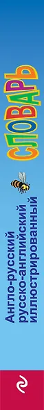 Англо-русский русско-английский иллюстрированный словарь для начинающих - фото 5