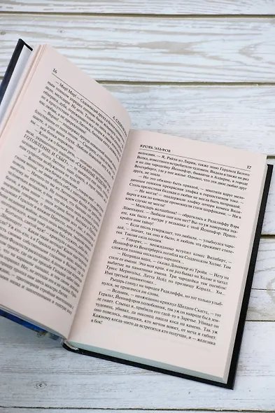 Кровь эльфов - фото 11