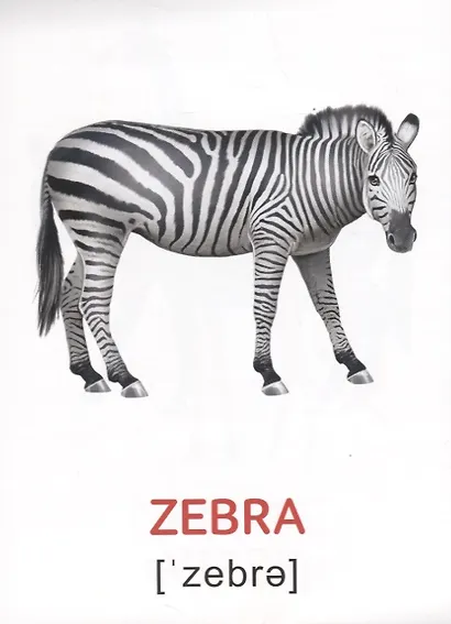 Набор обучающих книг по методике Г. Домана на английском языке (комплект из 8 книг) - фото 5