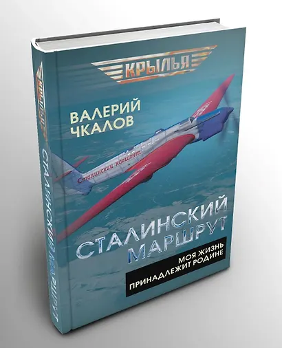 Сталинский маршрут. Моя жизнь принадлежит Родине - фото 2