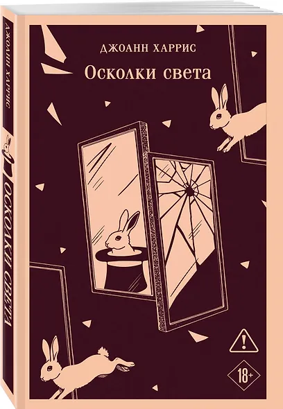 Осколки света - фото 3