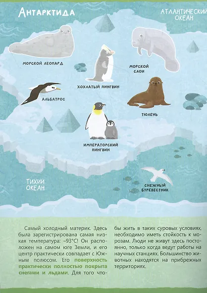 Книжка с наклейками «Животные нашей планеты» - фото 2