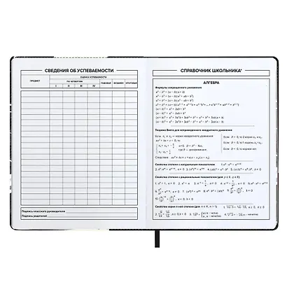 Дневник шк. "ГОНКИ" кожзам, тв.переплёт, поролон, шелкография в одну краску, одно ляссе, загругл.углы, универс.шпаргалка - фото 7