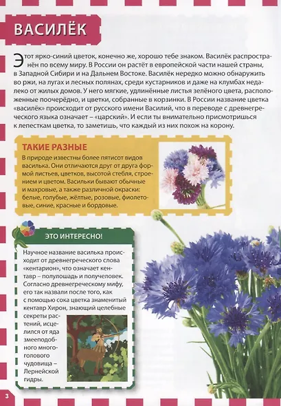 Цветы - фото 4