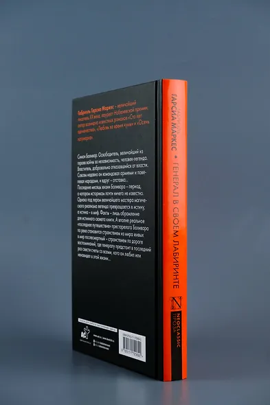 Генерал в своем лабиринте - фото 5