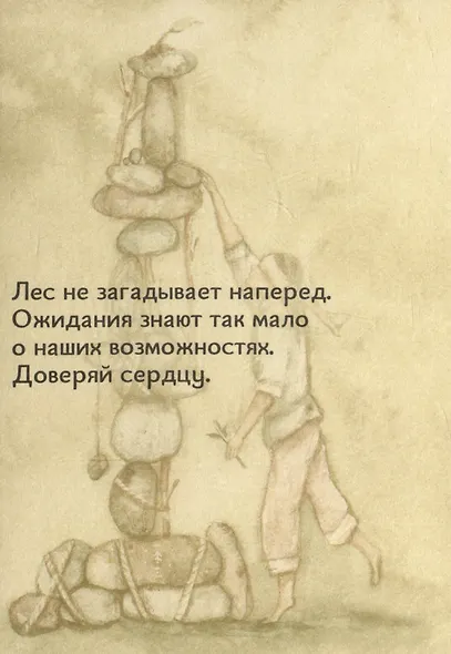 "Сила леса". Метафорические открытки - фото 5