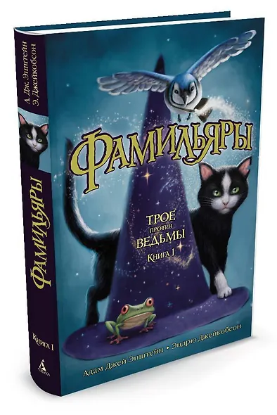 Фамильяры. Книга 1. Трое против ведьмы - фото 3