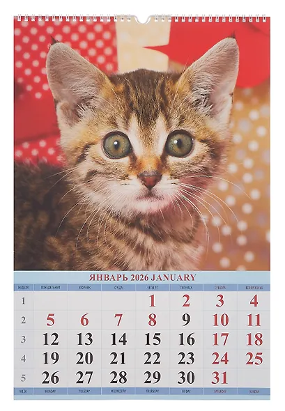 Календарь 2026г 320*480 "Котята" настенный, на спирали - фото 2