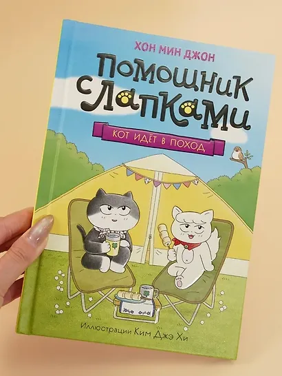 Кот идёт в поход - фото 7