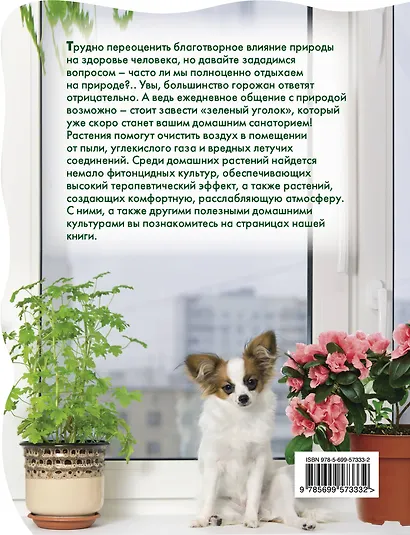 Цветы в доме. Фитодизайн для вашего здоровья. - фото 2