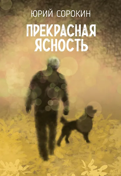 Прекрасная ясность - фото 1