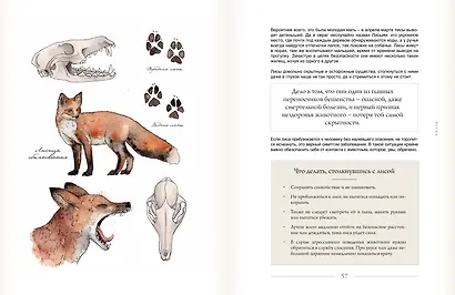 За руку с лесом. Жизнь в ритме природы, янтарный мёд и деревенское крыльцо - фото 8