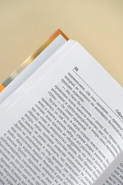 Сто лет одиночества - фото 8