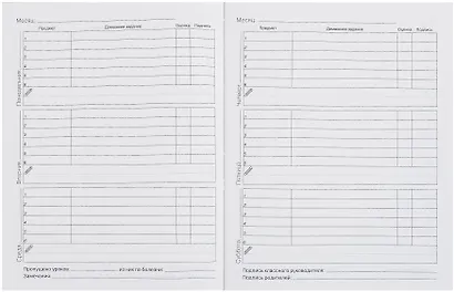 Дневник для младших классов, "Стильный кот" - фото 5