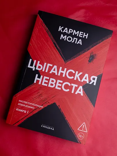Цыганская невеста. Инспектор полиции Элена Бланко. Книга I - фото 3