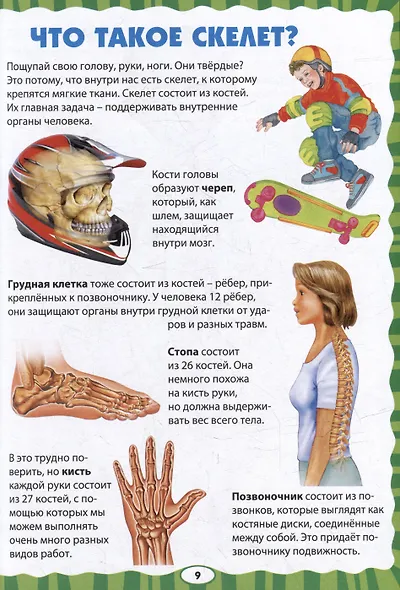 Как устроен человек. Первая энциклопедия для малышей - фото 4