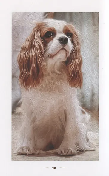 Любовь в форме сердца - фото 4