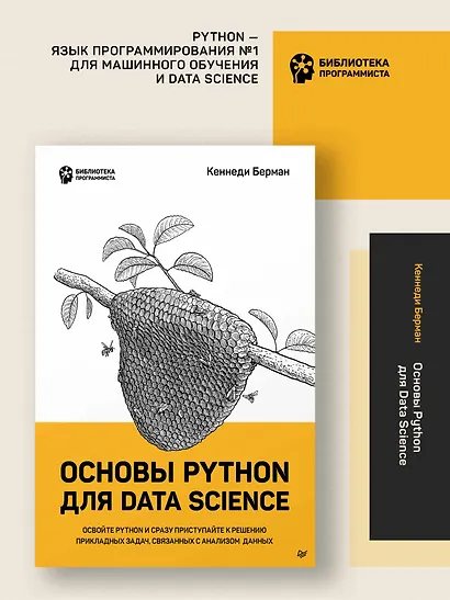 Основы Python для Data Science - фото 3