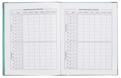 Дневник шк. "Мятный" кожзам, интегр.переплёт, тиснение фольгой, пантон, мет.уголки, одно ляссе, универс.шпаргалка - фото 5